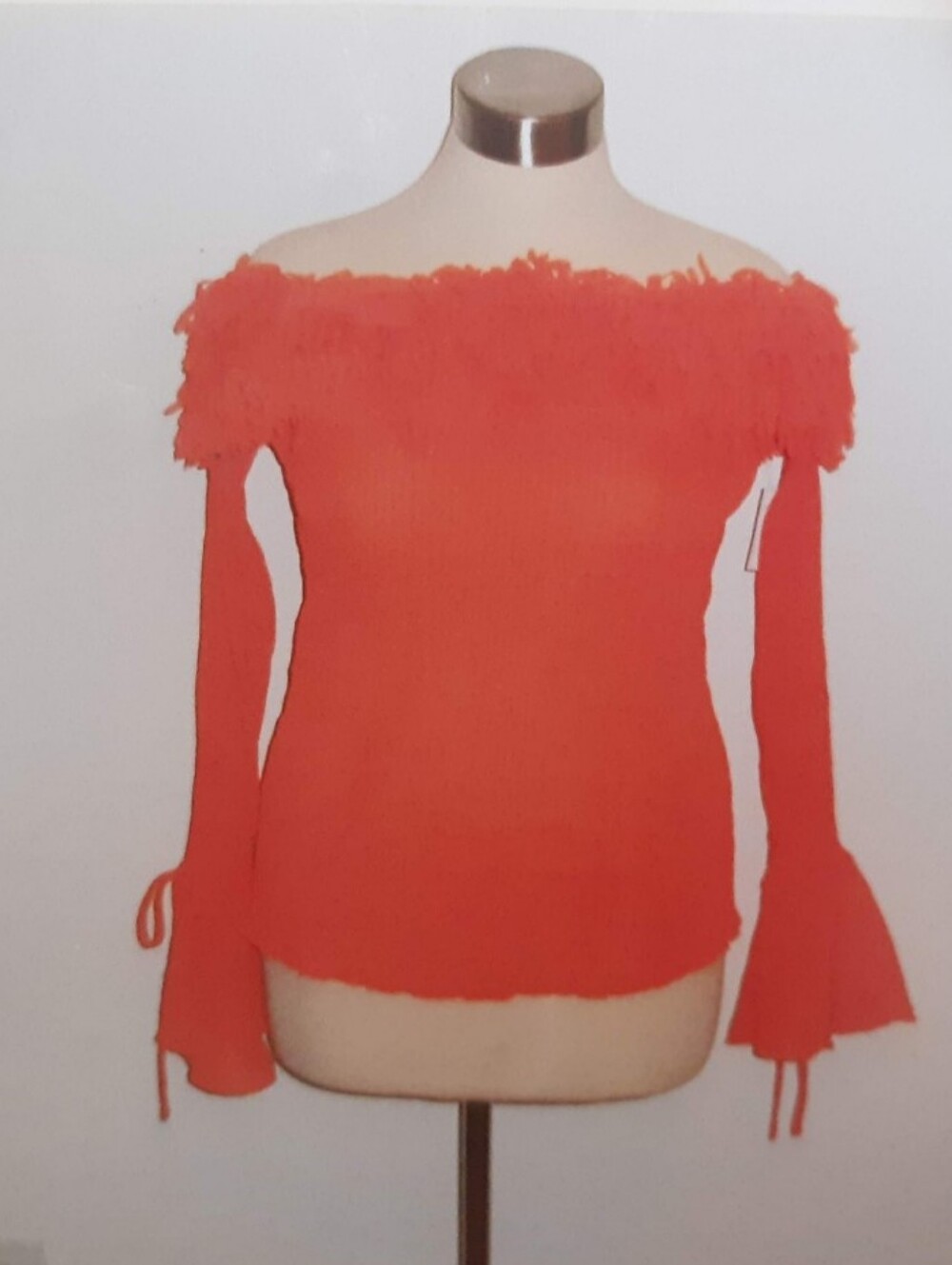 Kaeylyn Max II Off-Shoulder Fringe Detail Sheer Top (Coral)